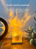 Ocean Lamp