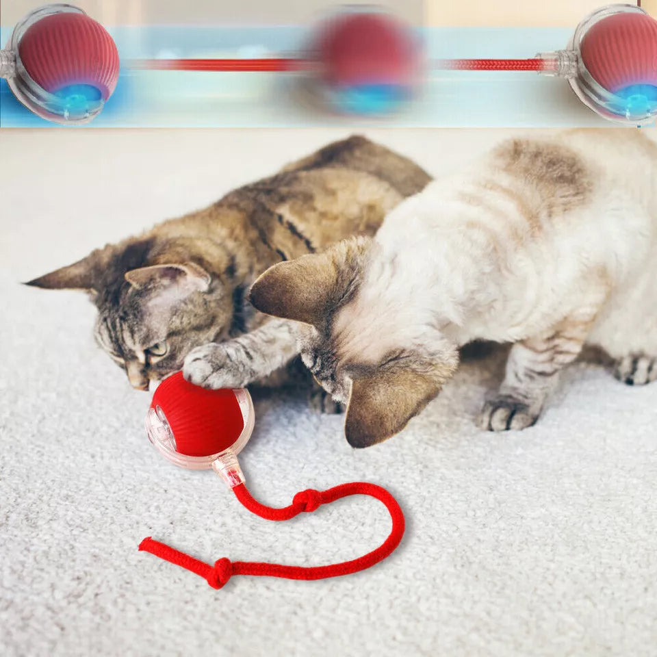 Automatic Cat Interactive Rolling Ball